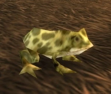 Giant Marsh Frog