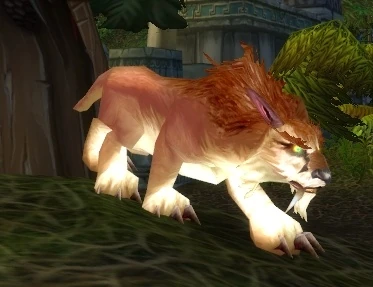 Amani Lynx Cub