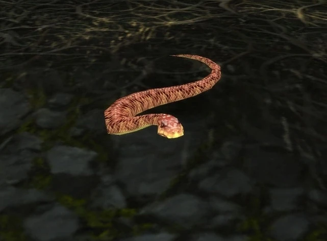 Amani Snake