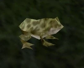 Forest Frog