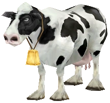 Cow