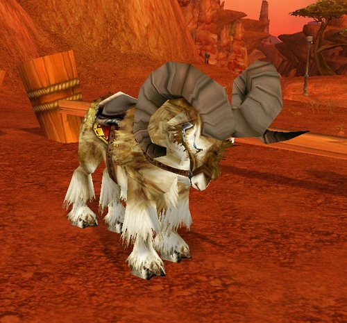 Racing Ram