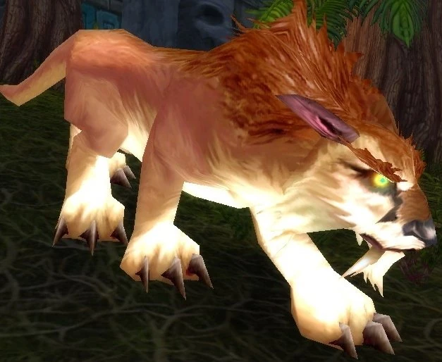 Amani Elder Lynx