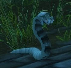 Flesh Eating Worm