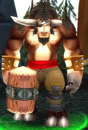 Budd's Bodyguard