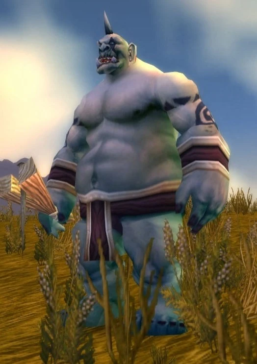 Boulderfist Ogre
