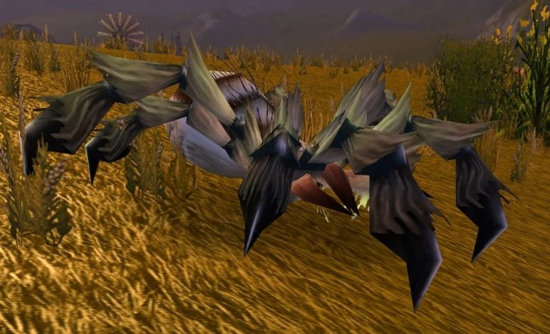 Plains Creeper