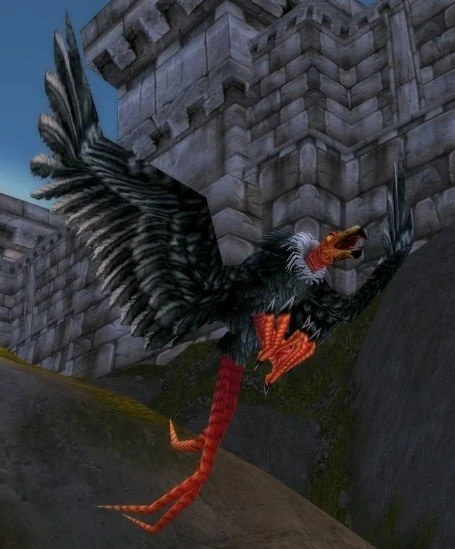 Elder Mesa Buzzard