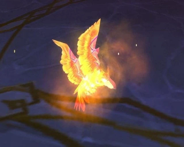 Phoenix Hatchling