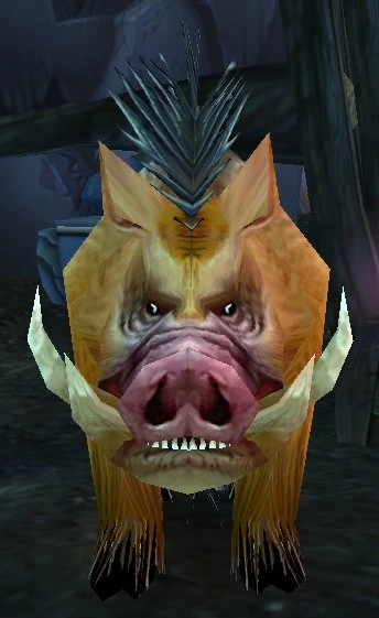 Loyal Boar