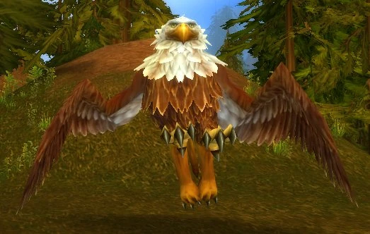 Trained Razorbeak