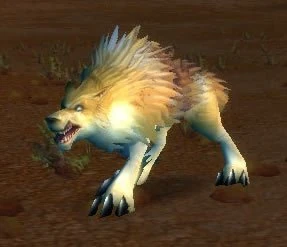 Crag Coyote