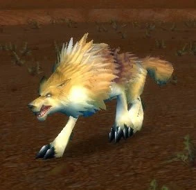 Feral Crag Coyote