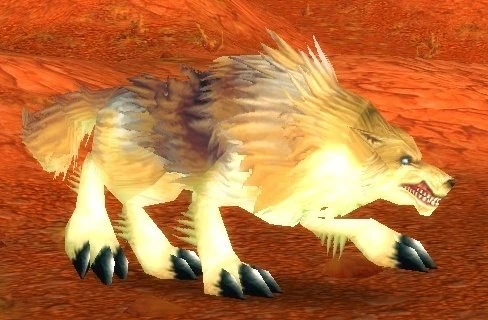 Elder Crag Coyote