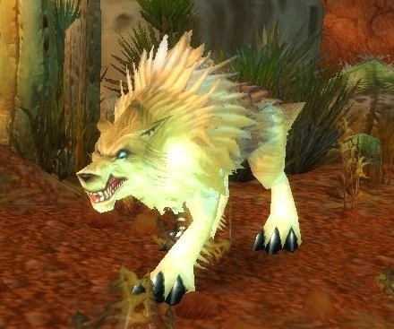 Rabid Crag Coyote