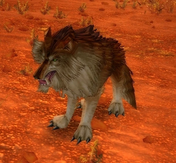 Barnabus
