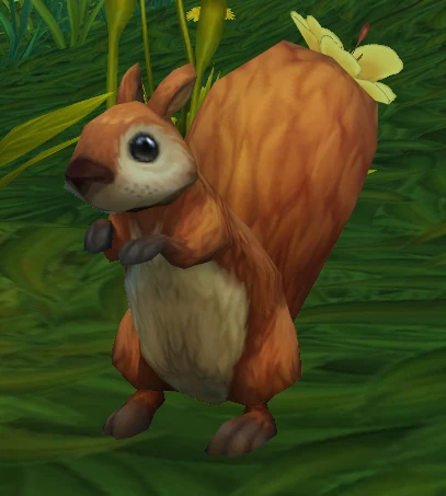 Woodland Squirrel