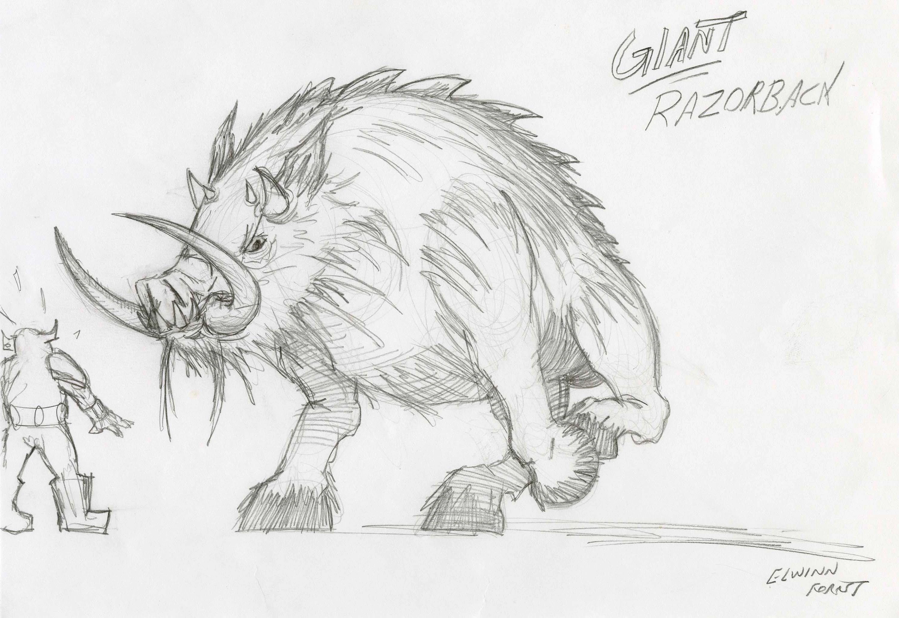 Boar