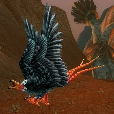 Starving Buzzard