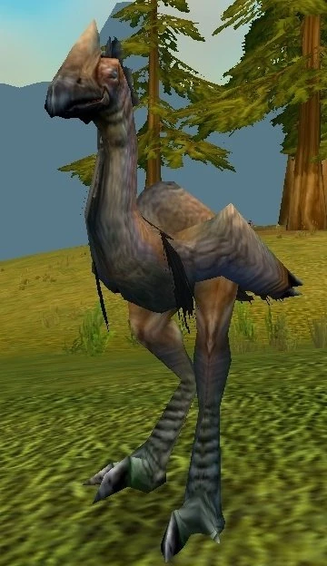 Plainstrider