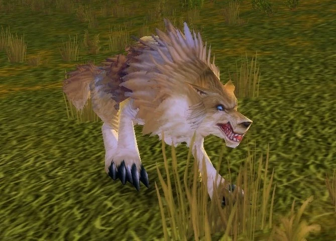 Prairie Wolf Alpha