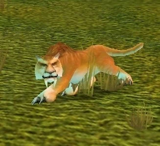 Mountain Cougar