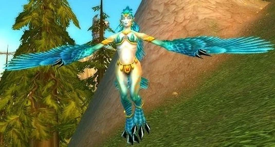 Windfury Sorceress