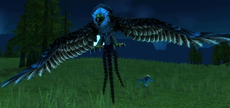 Wiry Swoop