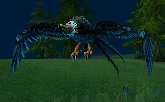 Swoop