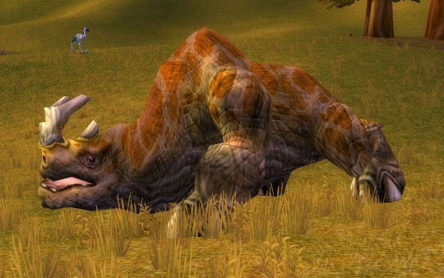 Kodo Matriarch