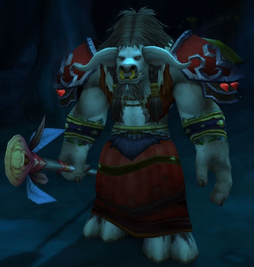 Seer Wiserunner