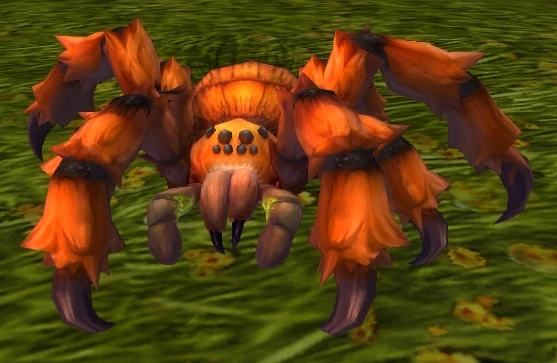 Forest Spider