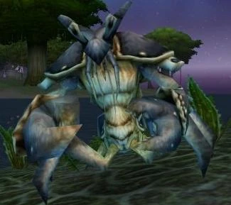Makrura Shellhide