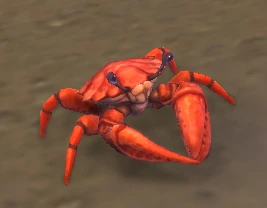 Pygmy Surf Crawler