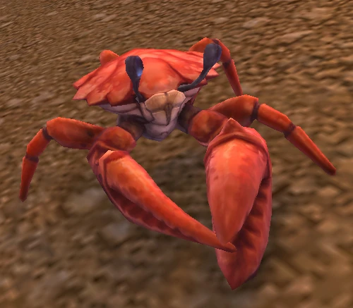 Surf Crawler