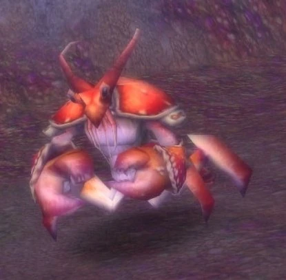 Makrura Elder