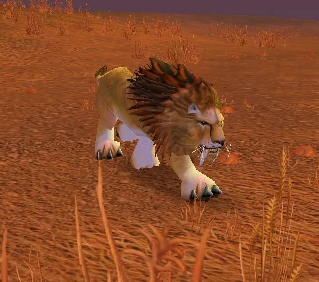 Savannah Patriarch