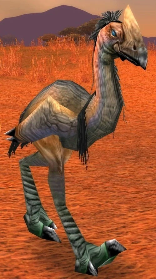 Greater Plainstrider