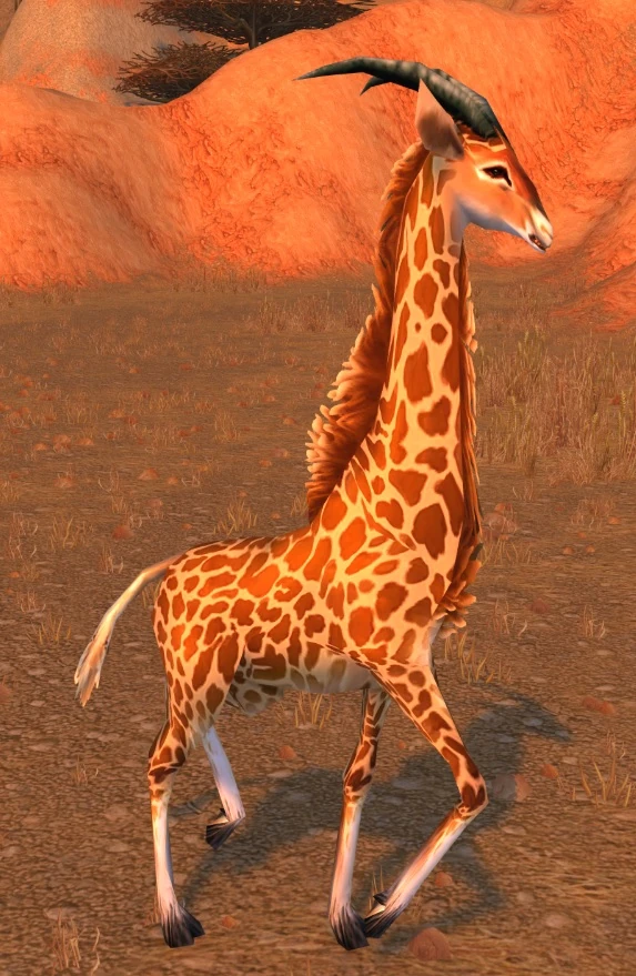 Barrens Giraffe