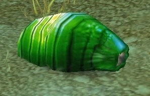 Silithid Grub