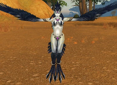 Witchwing Roguefeather