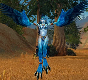 Witchwing Windcaller