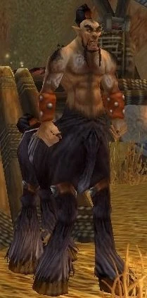 Verog the Dervish