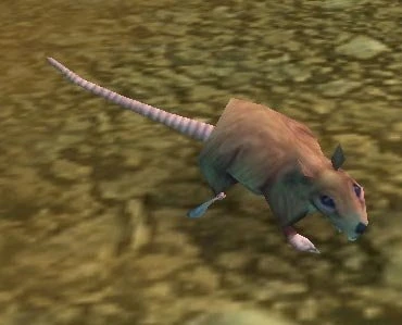 Dig Rat