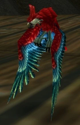Defias Companion