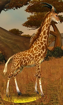 Wandering Barrens Giraffe