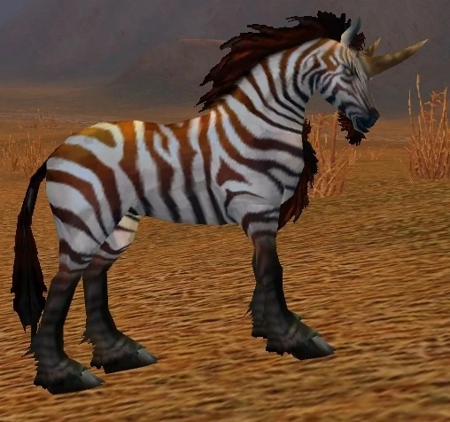 Zhevra Courser