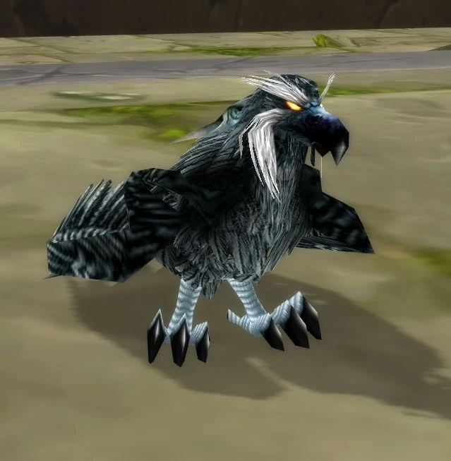 Druid of the Talon