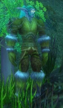 Severed Druid