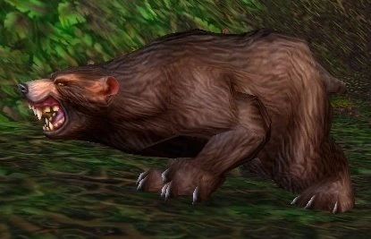Ashenvale Bear